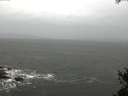 ./images/koeye/fitz-hugh/20150504/fitz-hugh20150504_123302.jpg