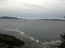 ./images/koeye/fitz-hugh/20150505/fitz-hugh20150505_080301.jpg