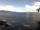 ./images/koeye/fitz-hugh/20150505/fitz-hugh20150505_122403.jpg