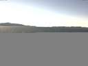 ./images/koeye/fitz-hugh/20150506/fitz-hugh20150506_140301.jpg