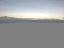 ./images/koeye/fitz-hugh/20150507/fitz-hugh20150507_080302.jpg