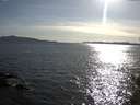 ./images/koeye/fitz-hugh/20150507/fitz-hugh20150507_180303.jpg