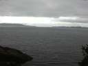 ./images/koeye/fitz-hugh/20150510/fitz-hugh20150510_122102.jpg