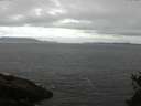 ./images/koeye/fitz-hugh/20150510/fitz-hugh20150510_122701.jpg