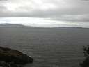 ./images/koeye/fitz-hugh/20150510/fitz-hugh20150510_123303.jpg