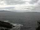./images/koeye/fitz-hugh/20150510/fitz-hugh20150510_140302.jpg