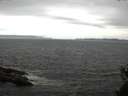 ./images/koeye/fitz-hugh/20150510/fitz-hugh20150510_160302.jpg