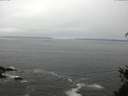 ./images/koeye/fitz-hugh/20150511/fitz-hugh20150511_080302.jpg