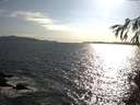 ./images/koeye/fitz-hugh/20150511/fitz-hugh20150511_180302.jpg