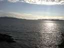 ./images/koeye/fitz-hugh/20150512/fitz-hugh20150512_180301.jpg