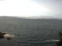 ./images/koeye/fitz-hugh/20150514/fitz-hugh20150514_121801.jpg