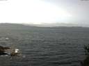 ./images/koeye/fitz-hugh/20150514/fitz-hugh20150514_122102.jpg