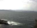 ./images/koeye/fitz-hugh/20150514/fitz-hugh20150514_140302.jpg