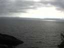 ./images/koeye/fitz-hugh/20150516/fitz-hugh20150516_180301.jpg
