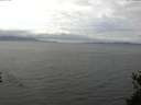 ./images/koeye/fitz-hugh/20150517/fitz-hugh20150517_140303.jpg