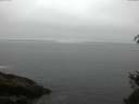 ./images/koeye/fitz-hugh/20150518/fitz-hugh20150518_100009.jpg