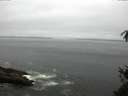 ./images/koeye/fitz-hugh/20150518/fitz-hugh20150518_110302.jpg