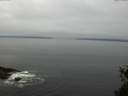 ./images/koeye/fitz-hugh/20150518/fitz-hugh20150518_120303.jpg