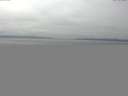 ./images/koeye/fitz-hugh/20150518/fitz-hugh20150518_122402.jpg