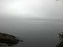 ./images/koeye/fitz-hugh/20150519/fitz-hugh20150519_060303.jpg