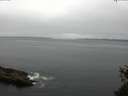 ./images/koeye/fitz-hugh/20150519/fitz-hugh20150519_120302.jpg