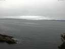 ./images/koeye/fitz-hugh/20150519/fitz-hugh20150519_121801.jpg