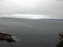 ./images/koeye/fitz-hugh/20150519/fitz-hugh20150519_122703.jpg