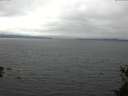 ./images/koeye/fitz-hugh/20150519/fitz-hugh20150519_140303.jpg