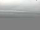 ./images/koeye/fitz-hugh/20150520/fitz-hugh20150520_073301.jpg