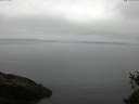 ./images/koeye/fitz-hugh/20150520/fitz-hugh20150520_083301.jpg