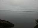 ./images/koeye/fitz-hugh/20150520/fitz-hugh20150520_090301.jpg
