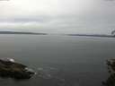 ./images/koeye/fitz-hugh/20150520/fitz-hugh20150520_121802.jpg