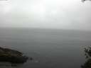 ./images/koeye/fitz-hugh/20150521/fitz-hugh20150521_073302.jpg