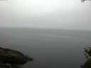 ./images/koeye/fitz-hugh/20150521/fitz-hugh20150521_080007.jpg