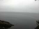./images/koeye/fitz-hugh/20150521/fitz-hugh20150521_080302.jpg