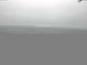 ./images/koeye/fitz-hugh/20150521/fitz-hugh20150521_090301.jpg