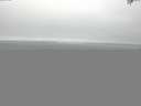 ./images/koeye/fitz-hugh/20150521/fitz-hugh20150521_100301.jpg