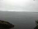 ./images/koeye/fitz-hugh/20150521/fitz-hugh20150521_103302.jpg