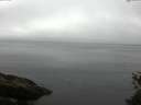./images/koeye/fitz-hugh/20150521/fitz-hugh20150521_120007.jpg