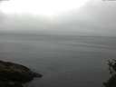 ./images/koeye/fitz-hugh/20150521/fitz-hugh20150521_120302.jpg