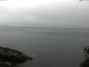 ./images/koeye/fitz-hugh/20150521/fitz-hugh20150521_121803.jpg