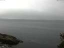 ./images/koeye/fitz-hugh/20150521/fitz-hugh20150521_122103.jpg