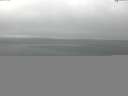./images/koeye/fitz-hugh/20150521/fitz-hugh20150521_122402.jpg