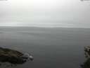 ./images/koeye/fitz-hugh/20150521/fitz-hugh20150521_123302.jpg