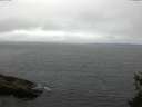 ./images/koeye/fitz-hugh/20150521/fitz-hugh20150521_130302.jpg