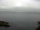 ./images/koeye/fitz-hugh/20150522/fitz-hugh20150522_073301.jpg