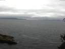 ./images/koeye/fitz-hugh/20150522/fitz-hugh20150522_140303.jpg