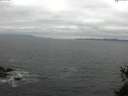 ./images/koeye/fitz-hugh/20150522/fitz-hugh20150522_160301.jpg