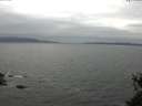 ./images/koeye/fitz-hugh/20150522/fitz-hugh20150522_170302.jpg