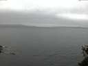./images/koeye/fitz-hugh/20150523/fitz-hugh20150523_050303.jpg